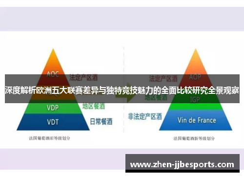 深度解析欧洲五大联赛差异与独特竞技魅力的全面比较研究全景观察