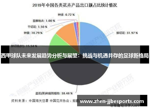 西甲球队未来发展趋势分析与展望：挑战与机遇并存的足球新格局