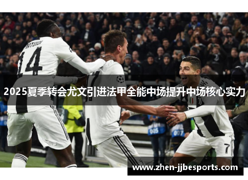 2025夏季转会尤文引进法甲全能中场提升中场核心实力 2025夏季转会尤文引进法甲全能中场提升中场核心实力